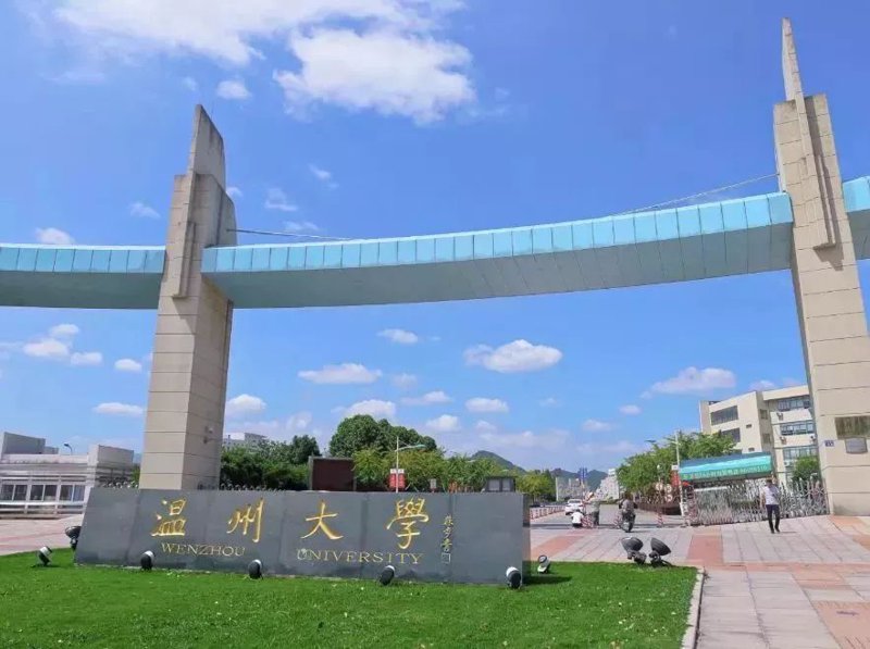 温州大学的专业选择：深度剖析教育学与管理学